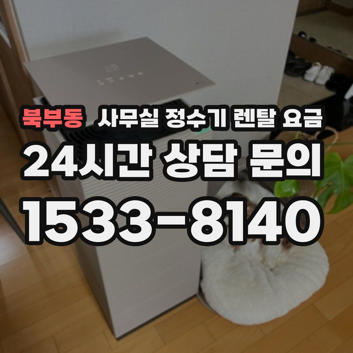 북부동 사무실 정수기 렌탈 요금