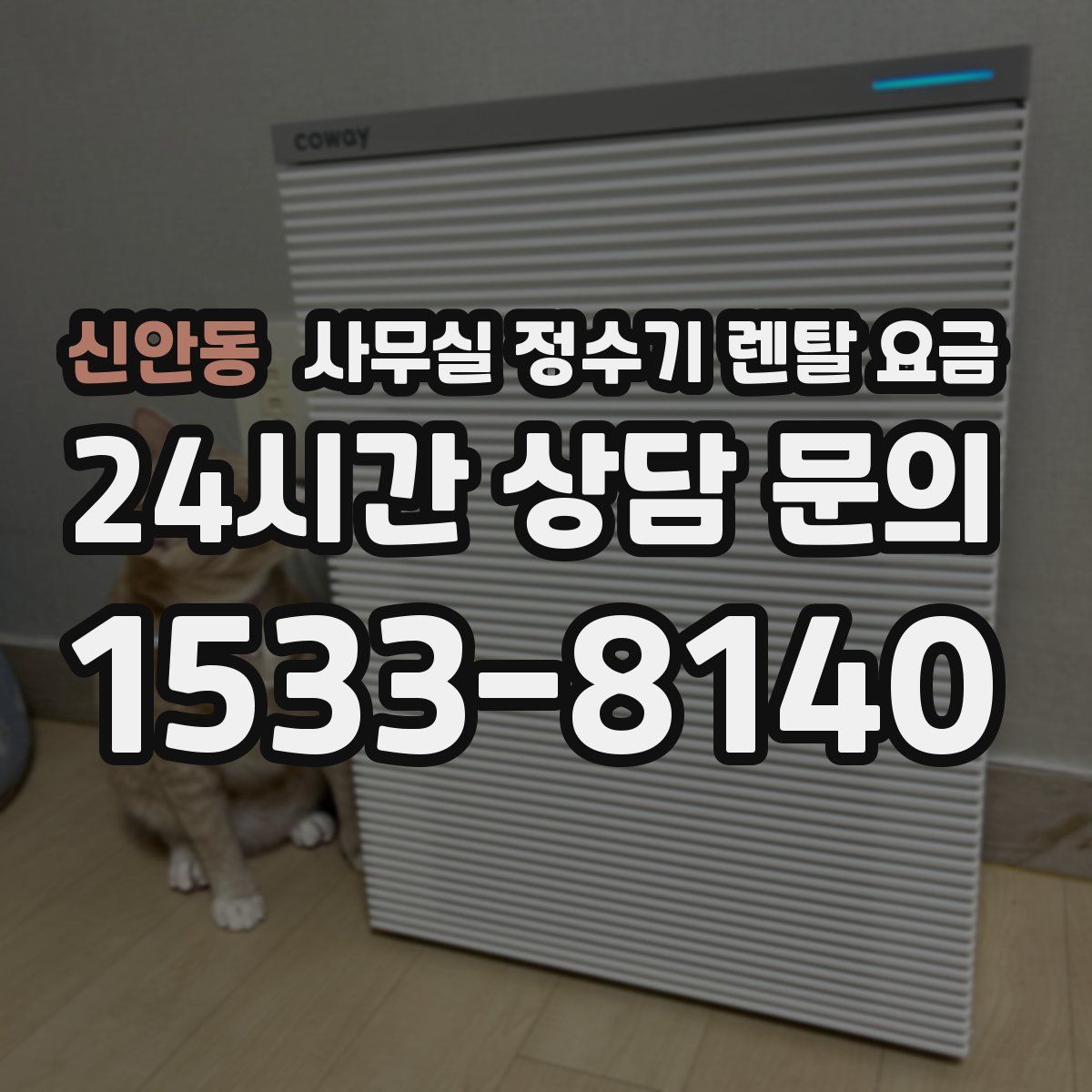 신안동 사무실 정수기 렌탈 요금