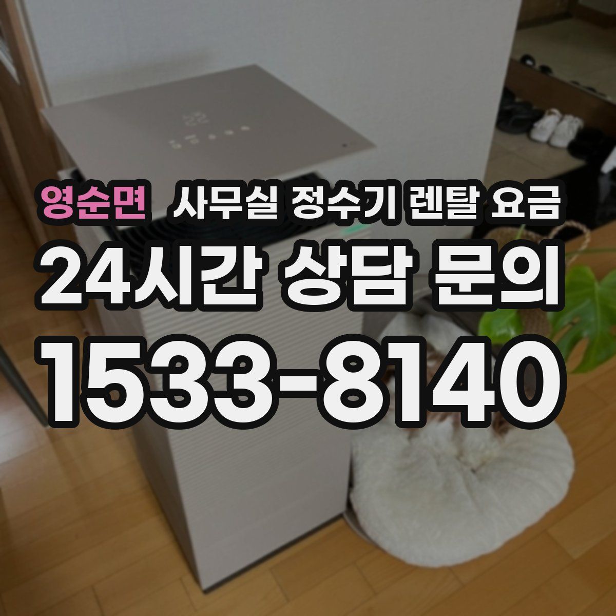 영순면 사무실 정수기 렌탈 요금