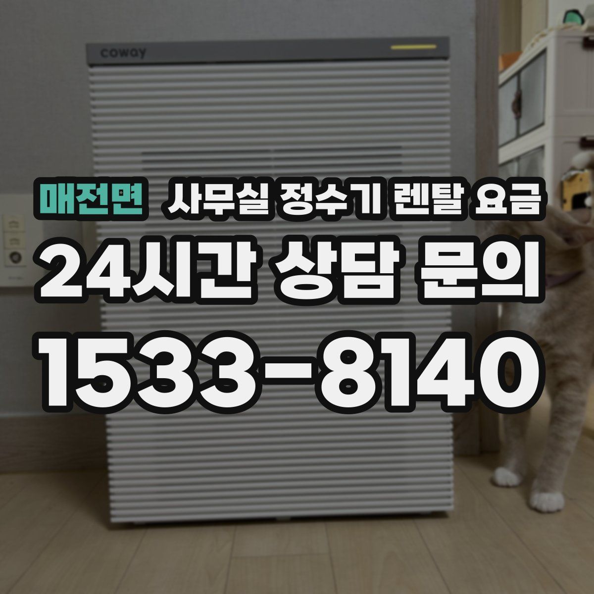 매전면 사무실 정수기 렌탈 요금