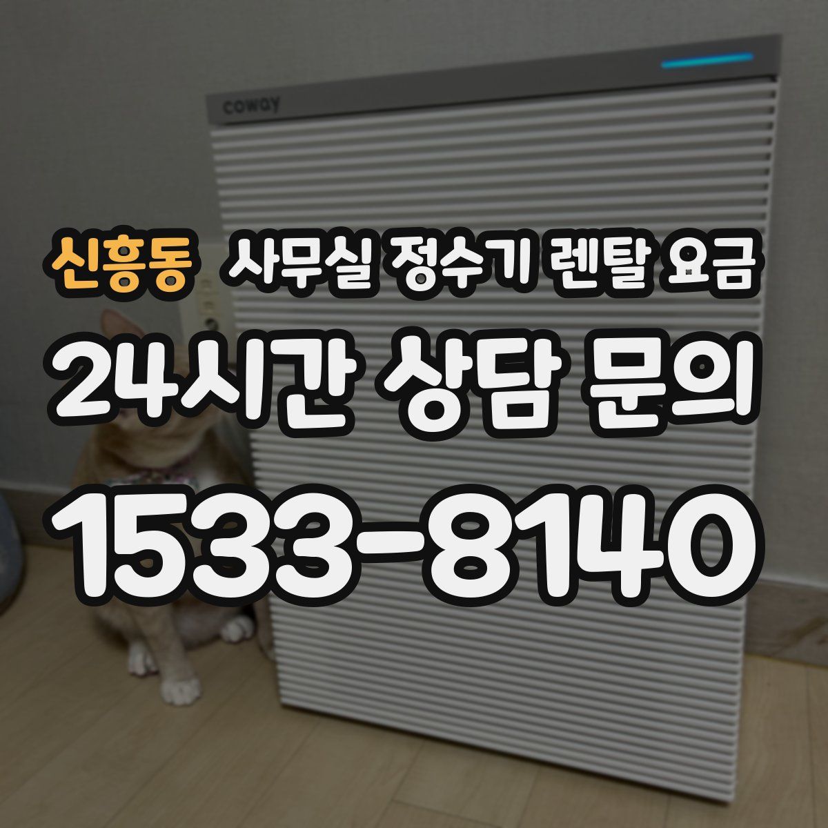 신흥동 사무실 정수기 렌탈 요금