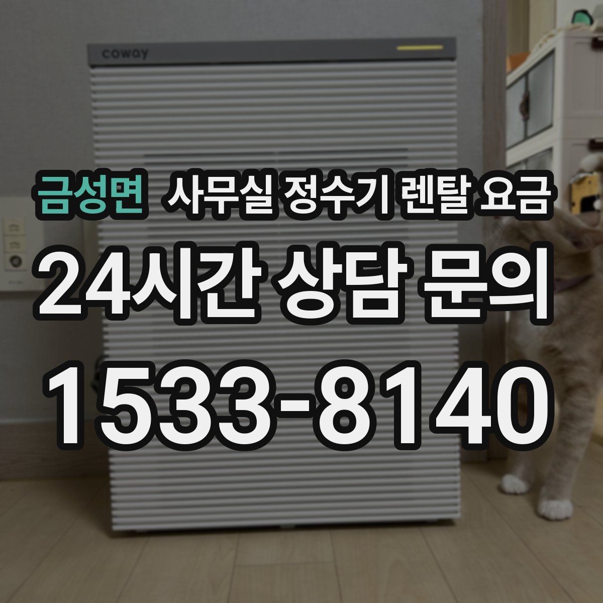 금성면 사무실 정수기 렌탈 요금