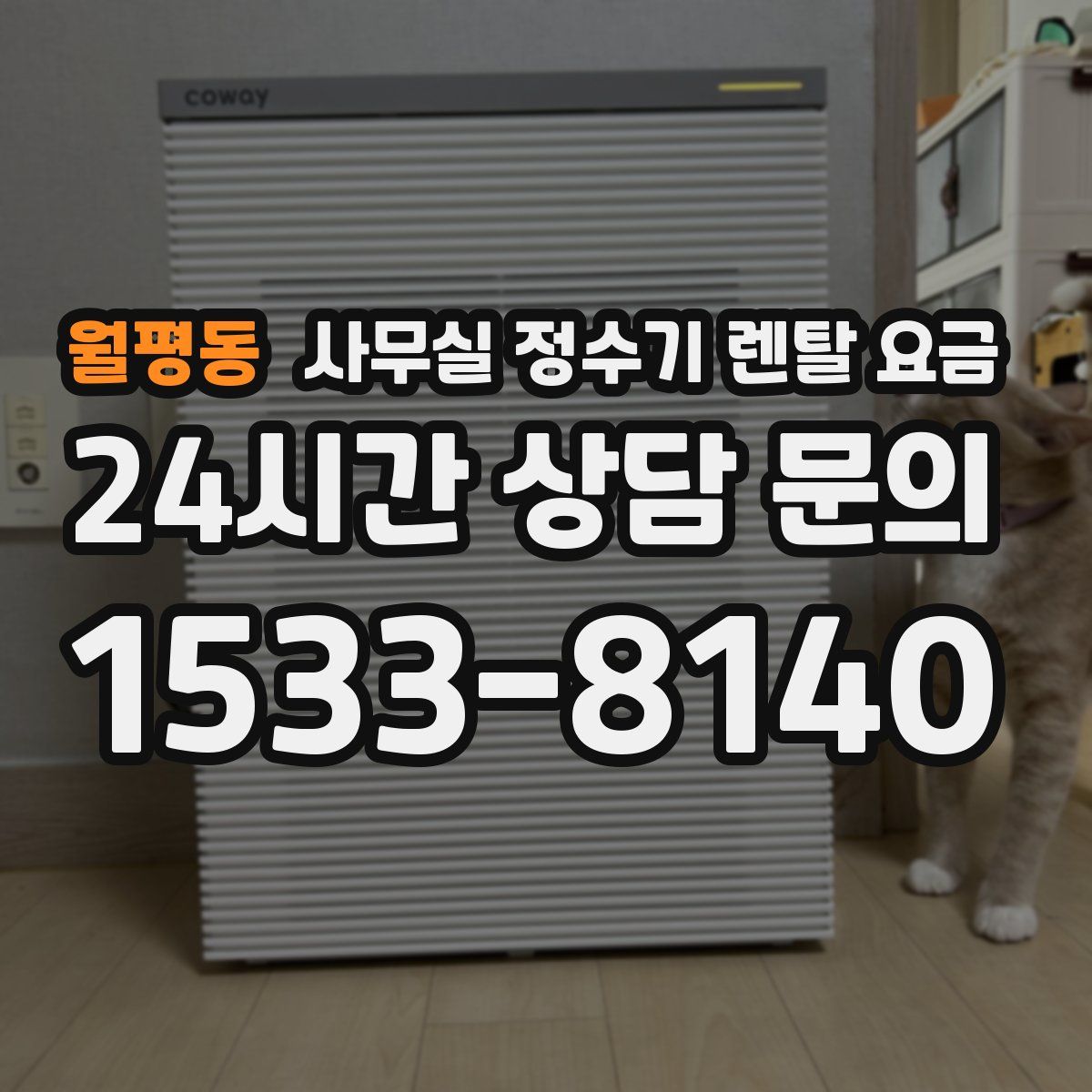 월평동 사무실 정수기 렌탈 요금