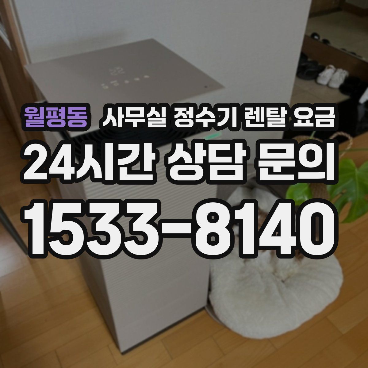 월평동 사무실 정수기 렌탈 요금