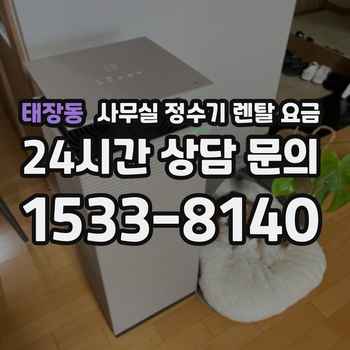 태장동 사무실 정수기 렌탈 요금