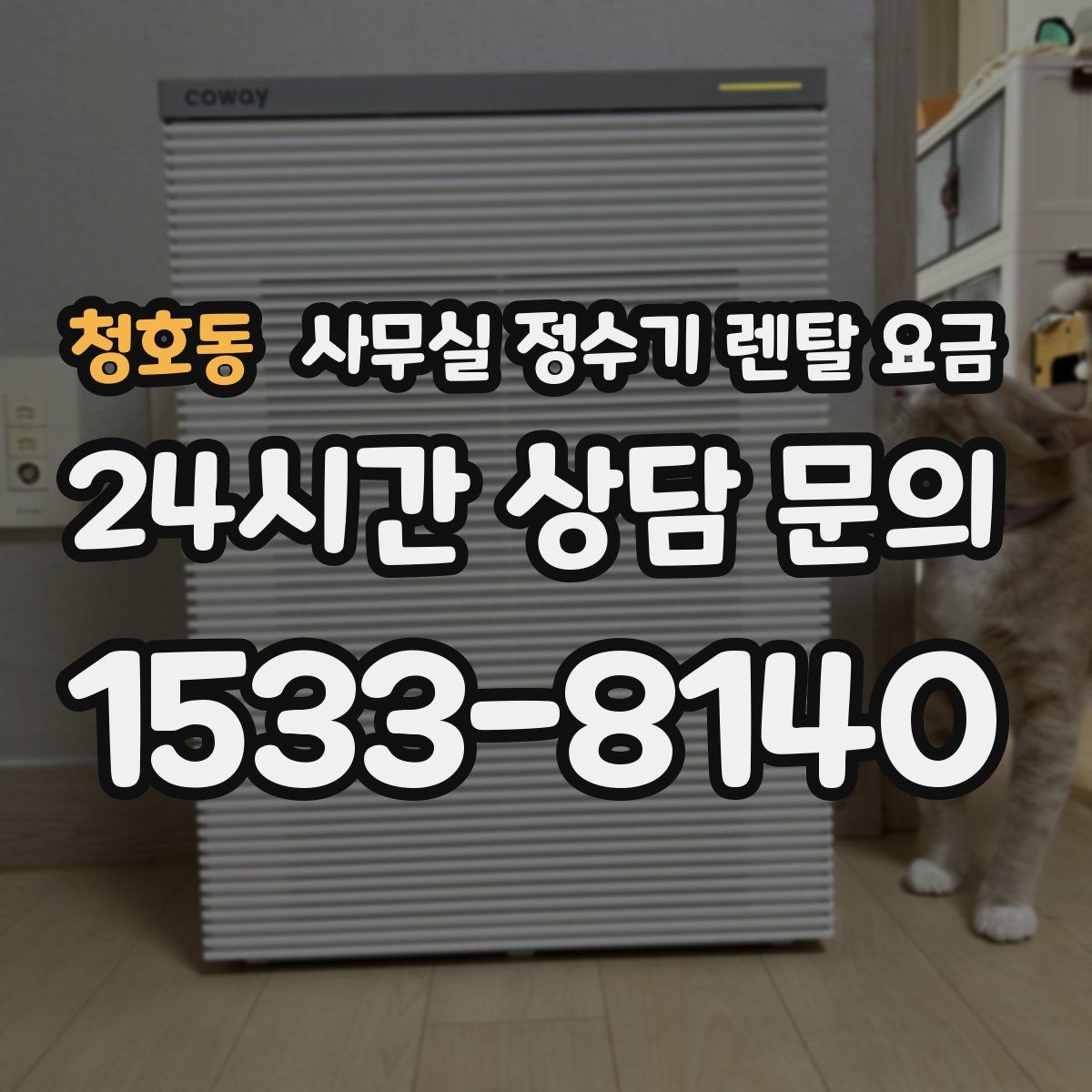 청호동 사무실 정수기 렌탈 요금