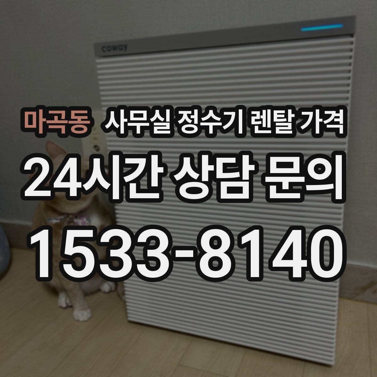마곡동 사무실 정수기 렌탈 가격