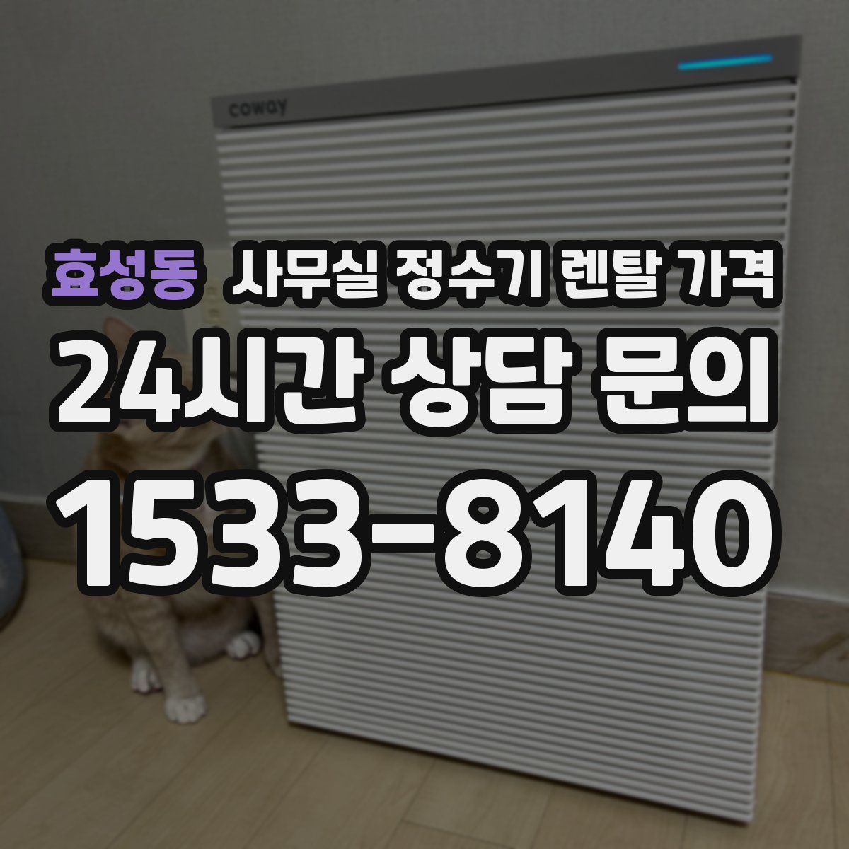 효성동 사무실 정수기 렌탈 가격