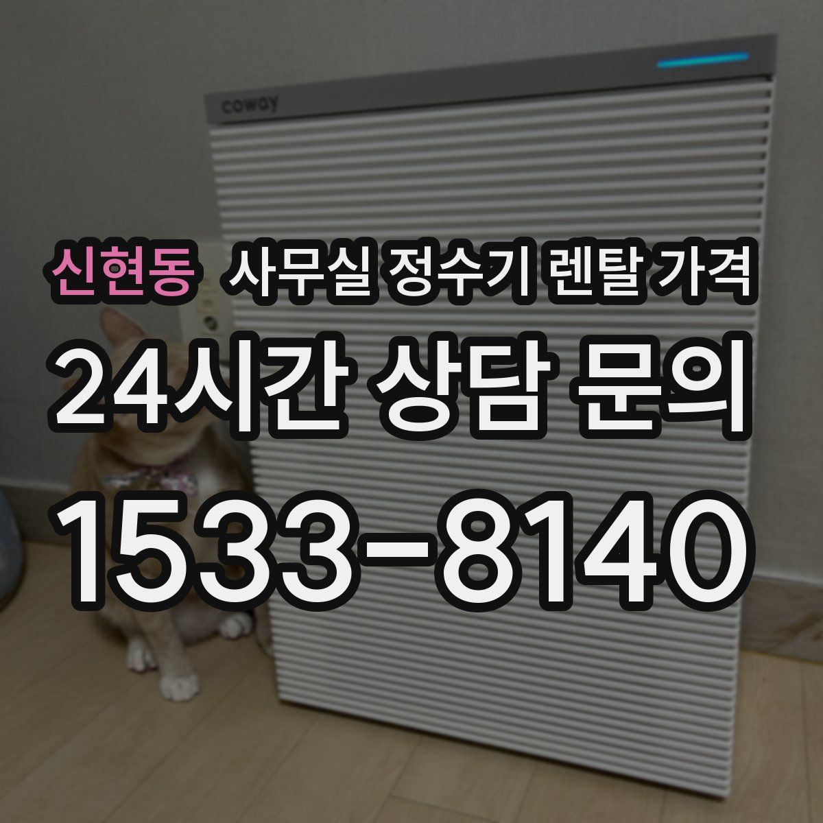 신현동 사무실 정수기 렌탈 가격