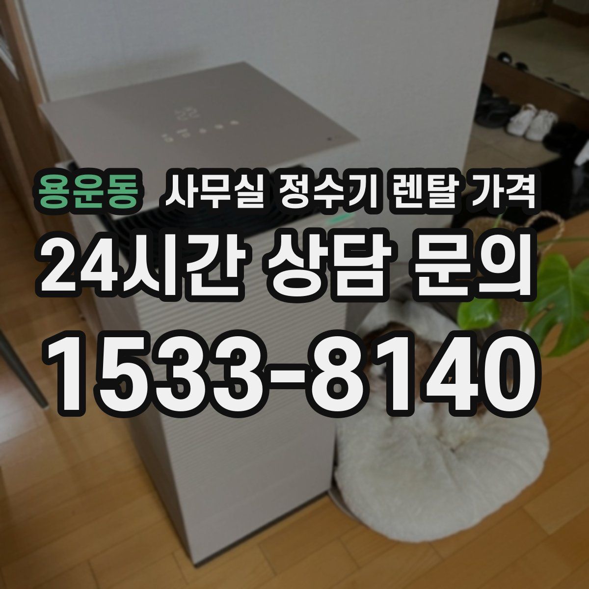 용운동 사무실 정수기 렌탈 가격
