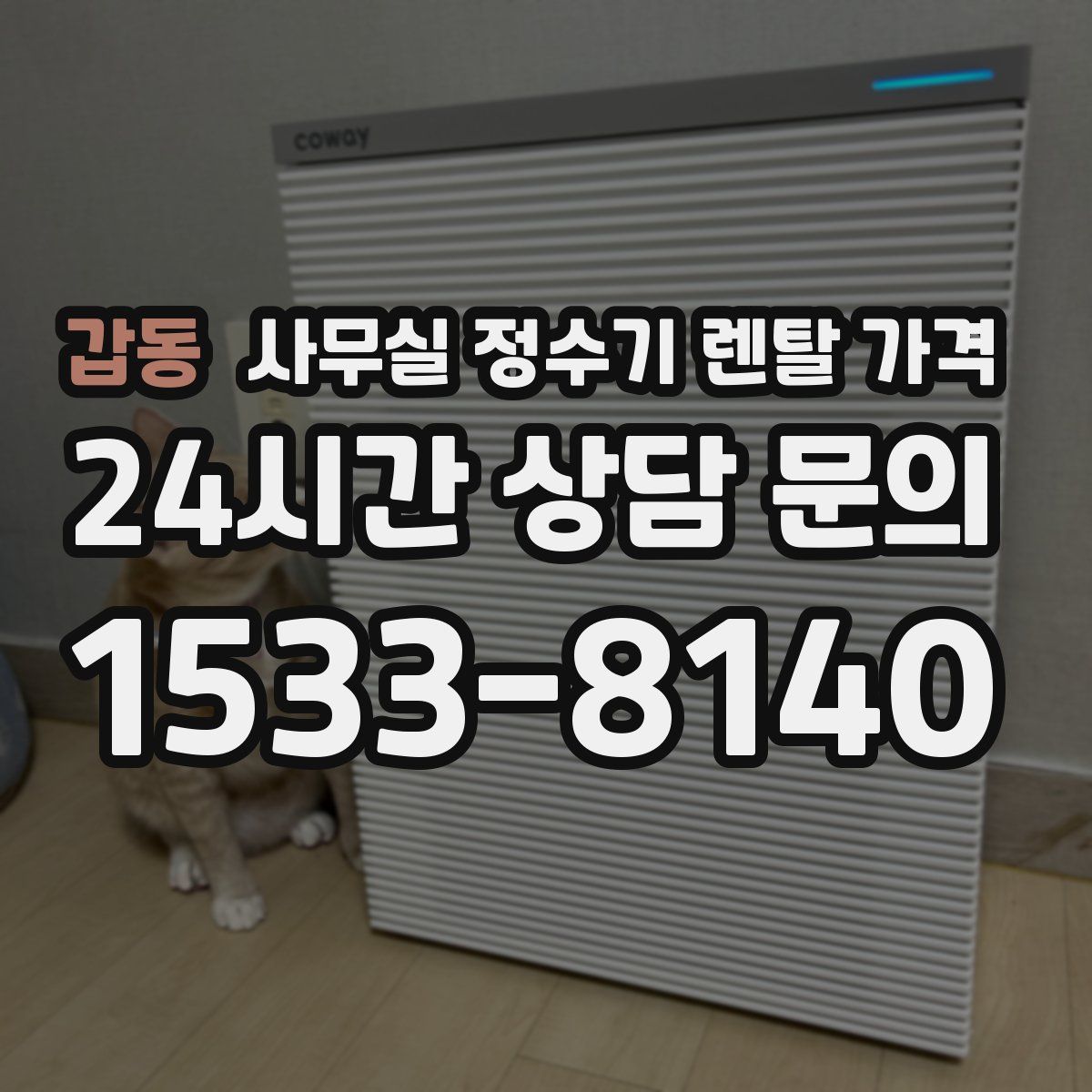갑동 사무실 정수기 렌탈 가격