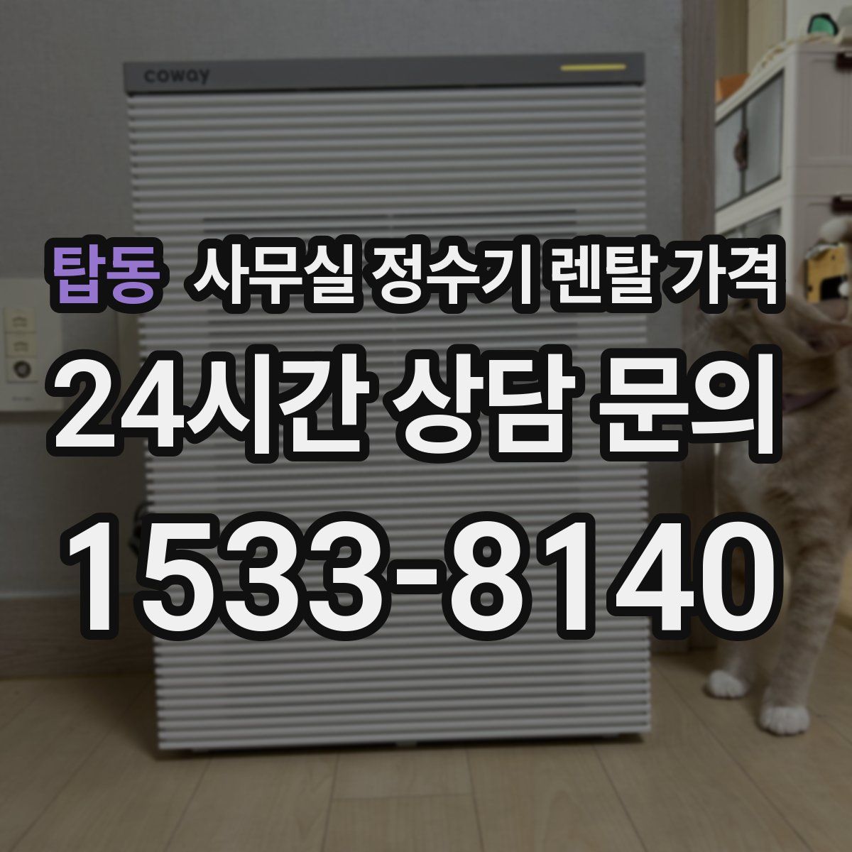 탑동 사무실 정수기 렌탈 가격