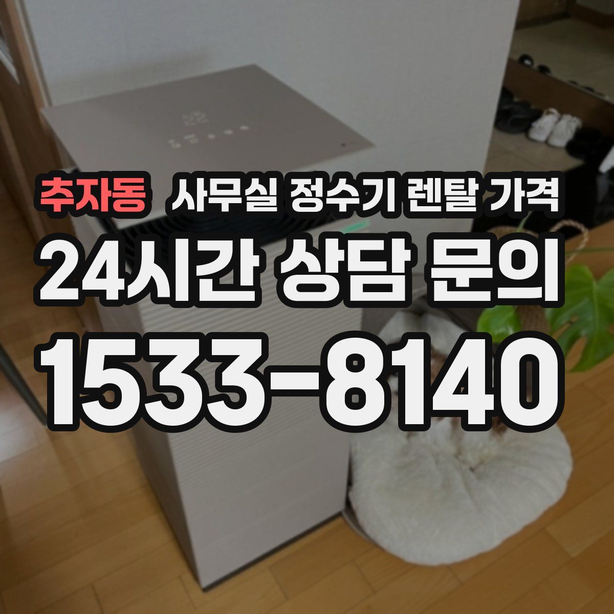 추자동 사무실 정수기 렌탈 가격