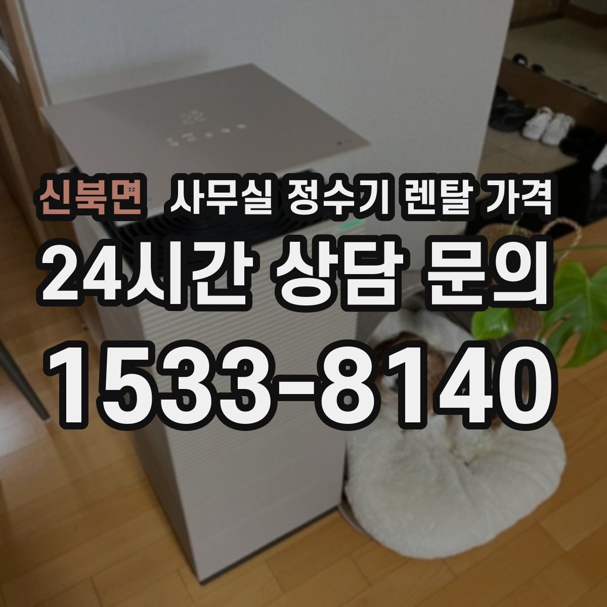 신북면 사무실 정수기 렌탈 가격