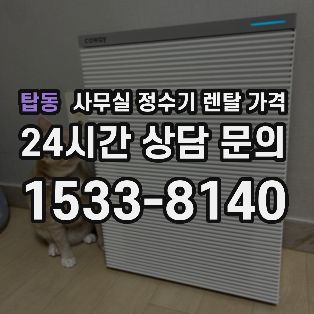 탑동 사무실 정수기 렌탈 가격