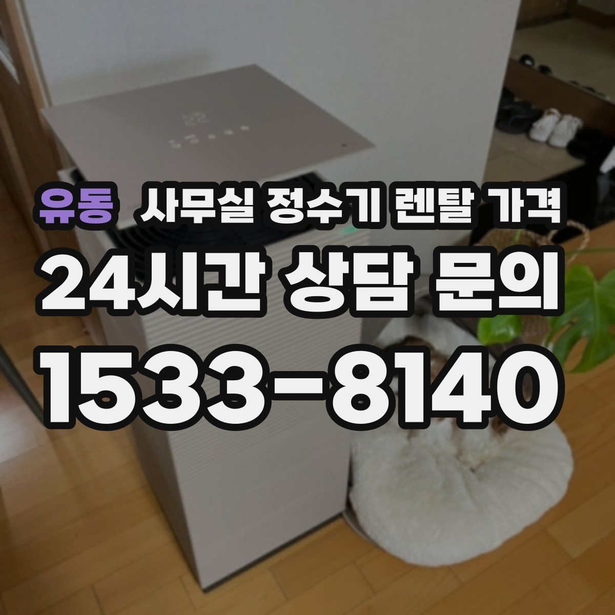 유동 사무실 정수기 렌탈 가격