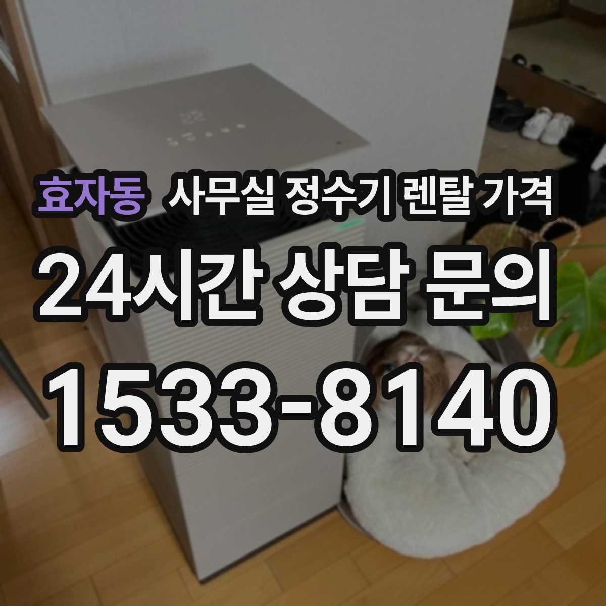 효자동 사무실 정수기 렌탈 가격
