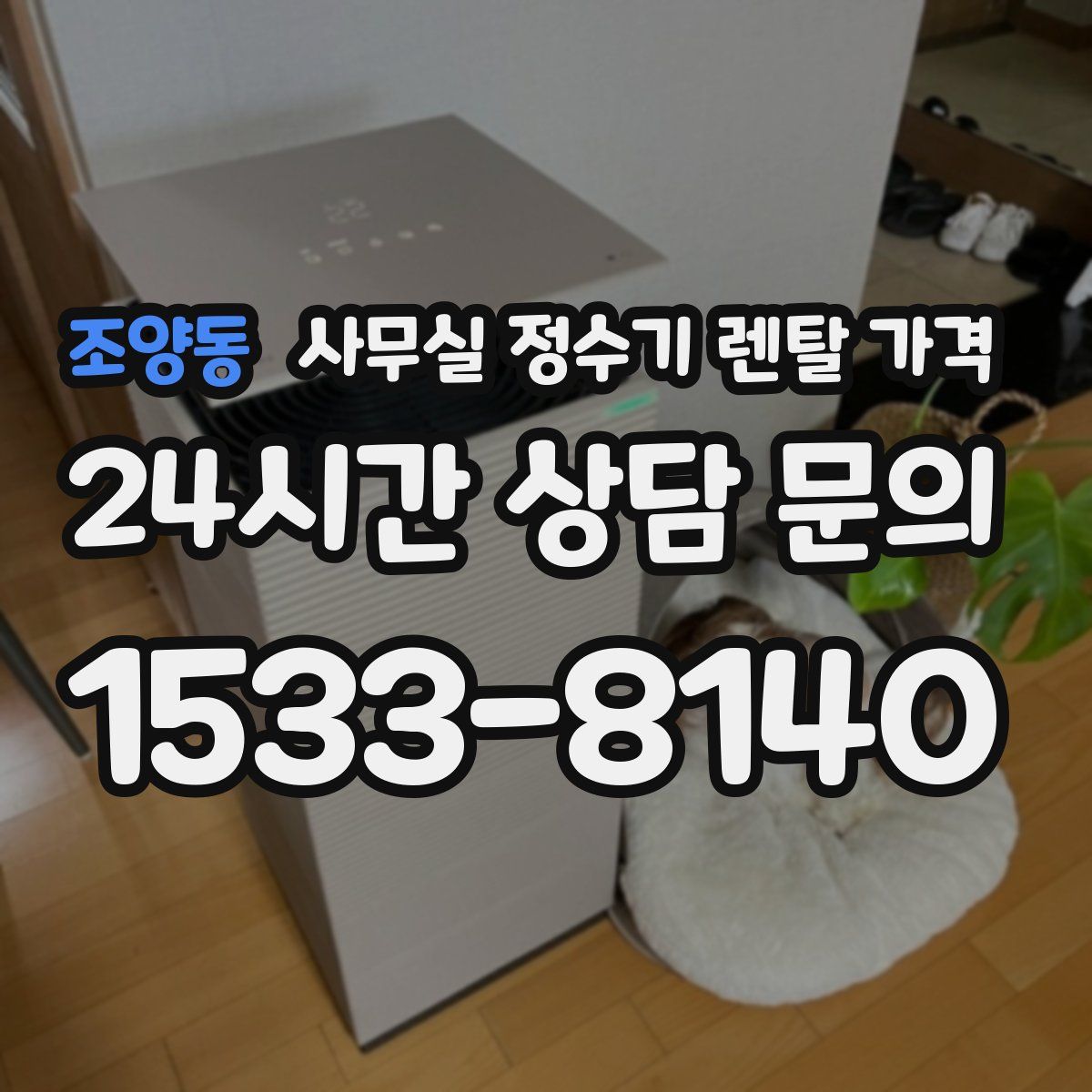 조양동 사무실 정수기 렌탈 가격