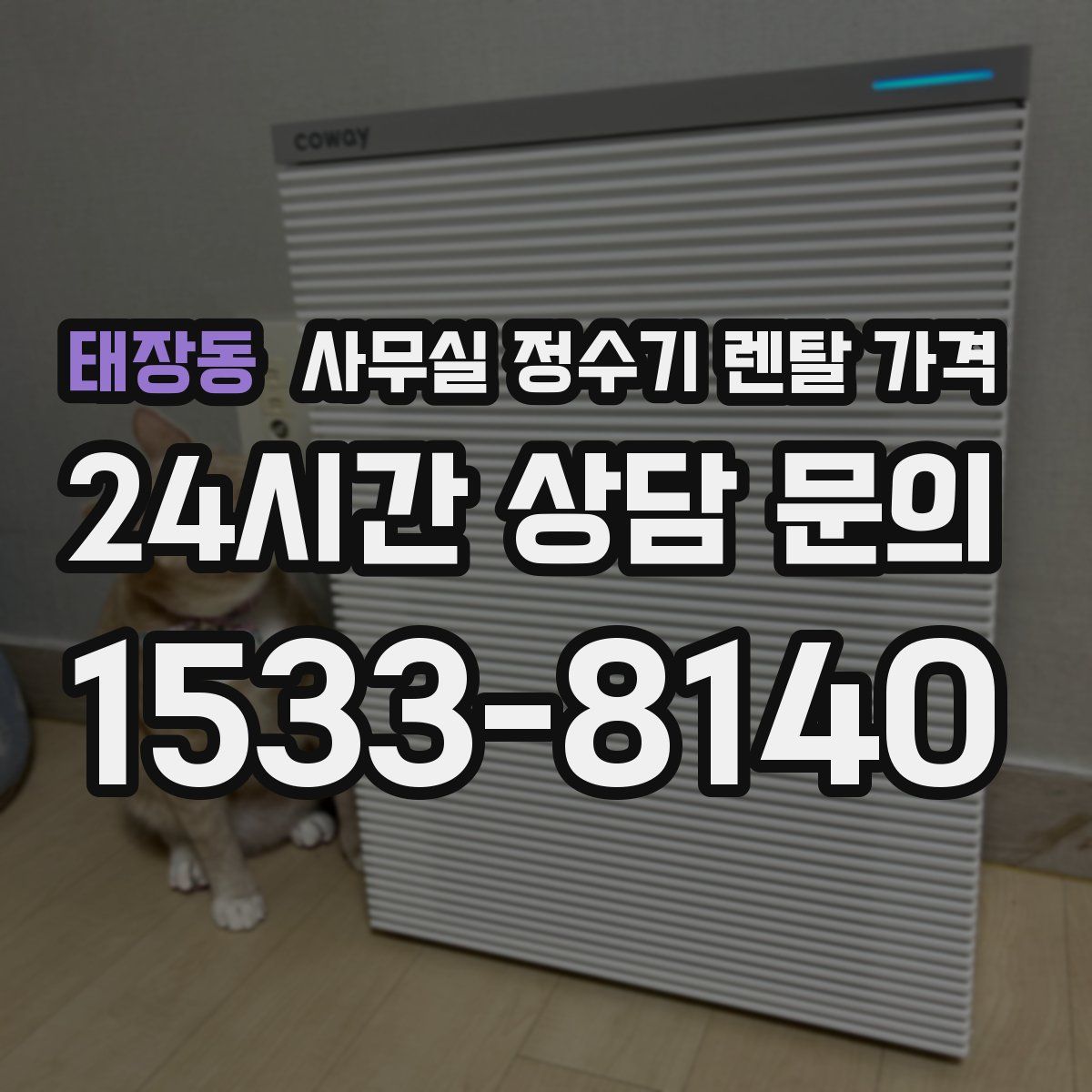 태장동 사무실 정수기 렌탈 가격