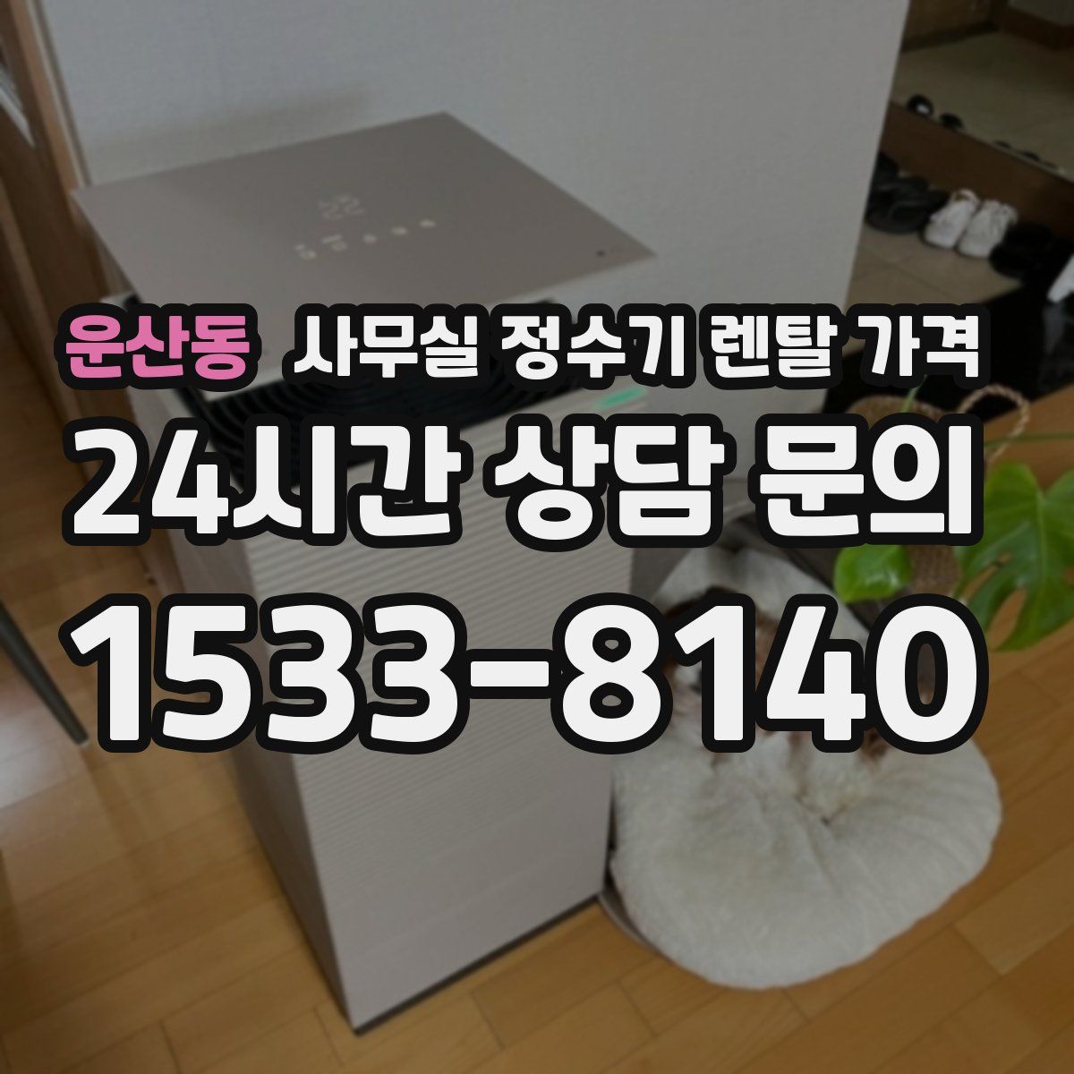 운산동 사무실 정수기 렌탈 가격