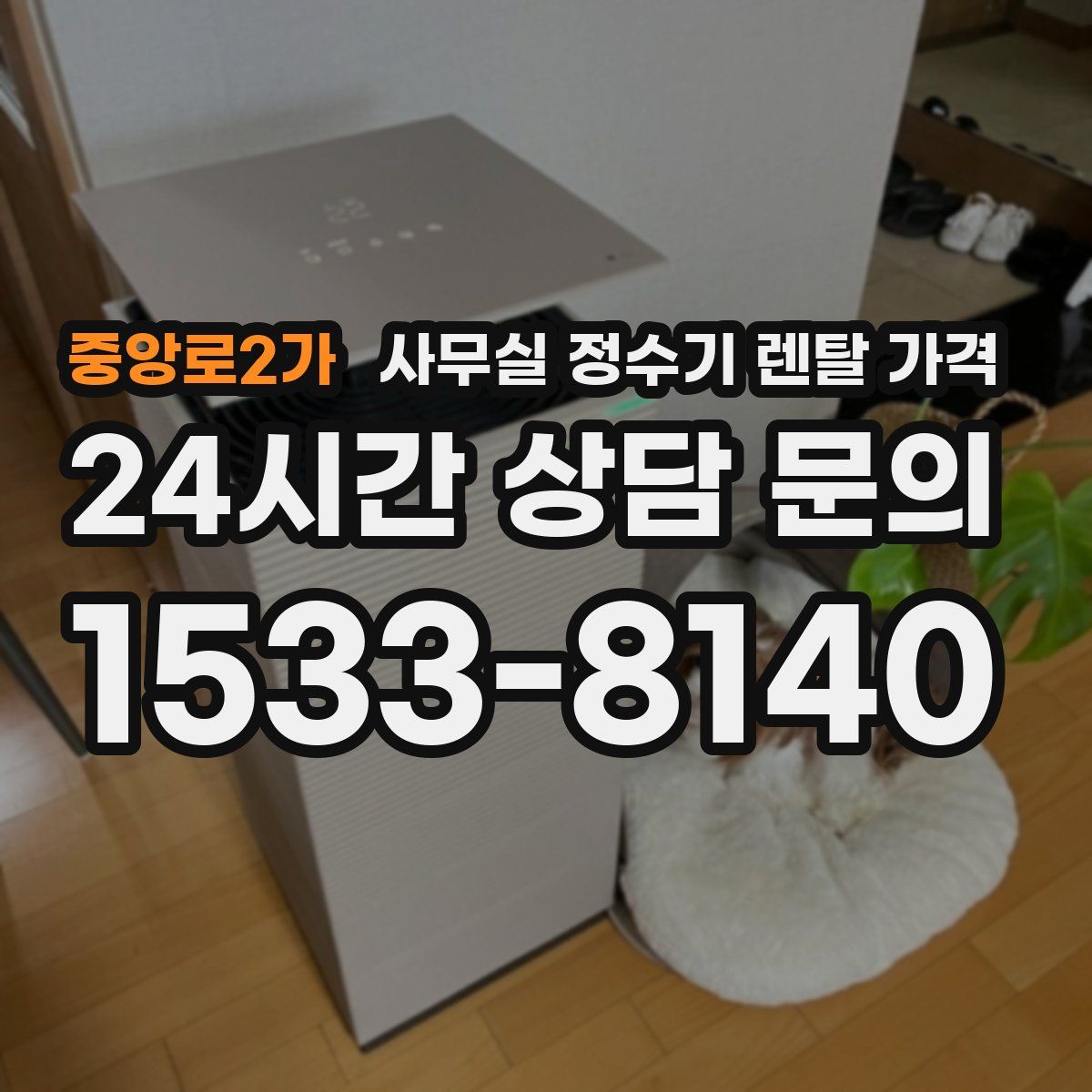 중앙로2가 사무실 정수기 렌탈 가격