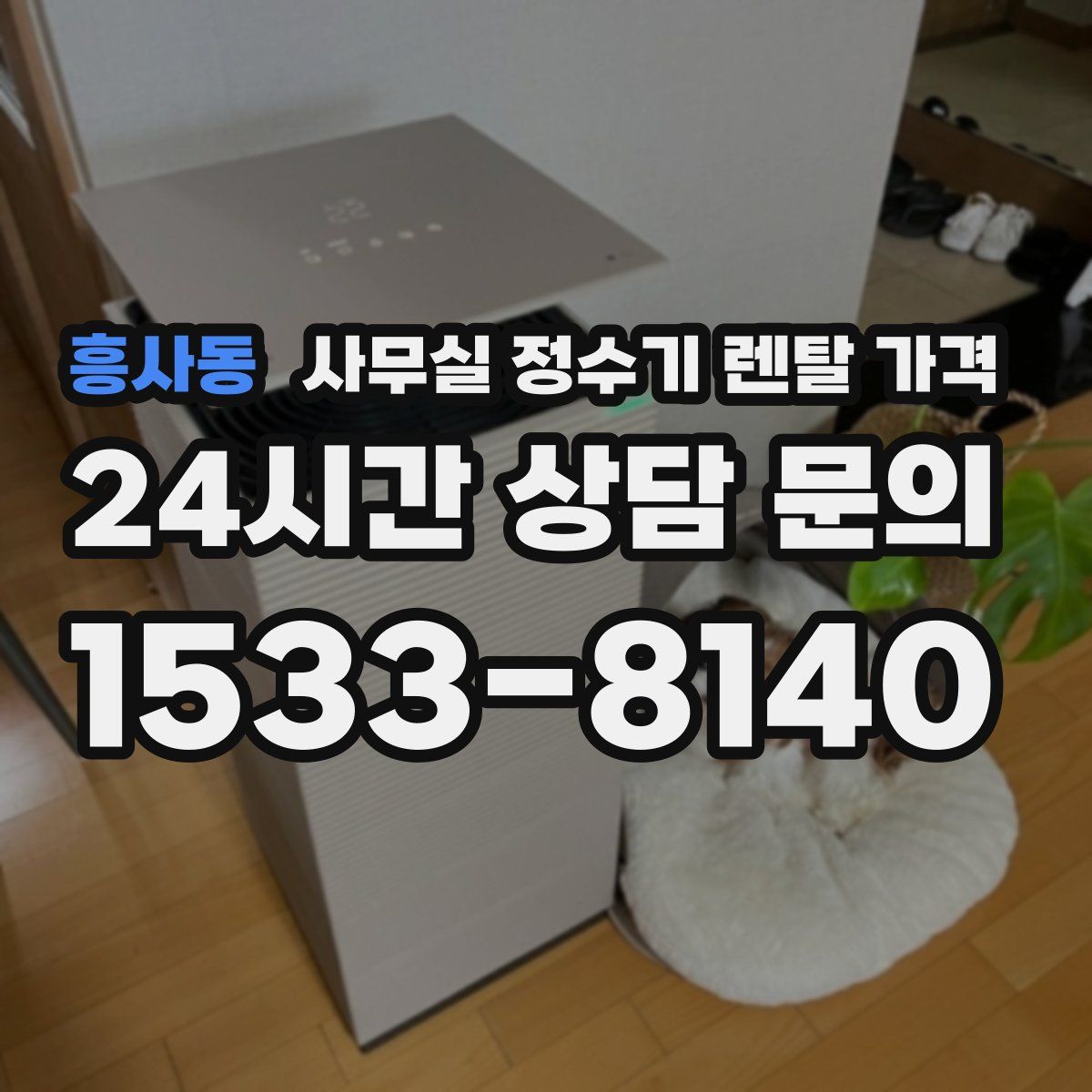 흥사동 사무실 정수기 렌탈 가격