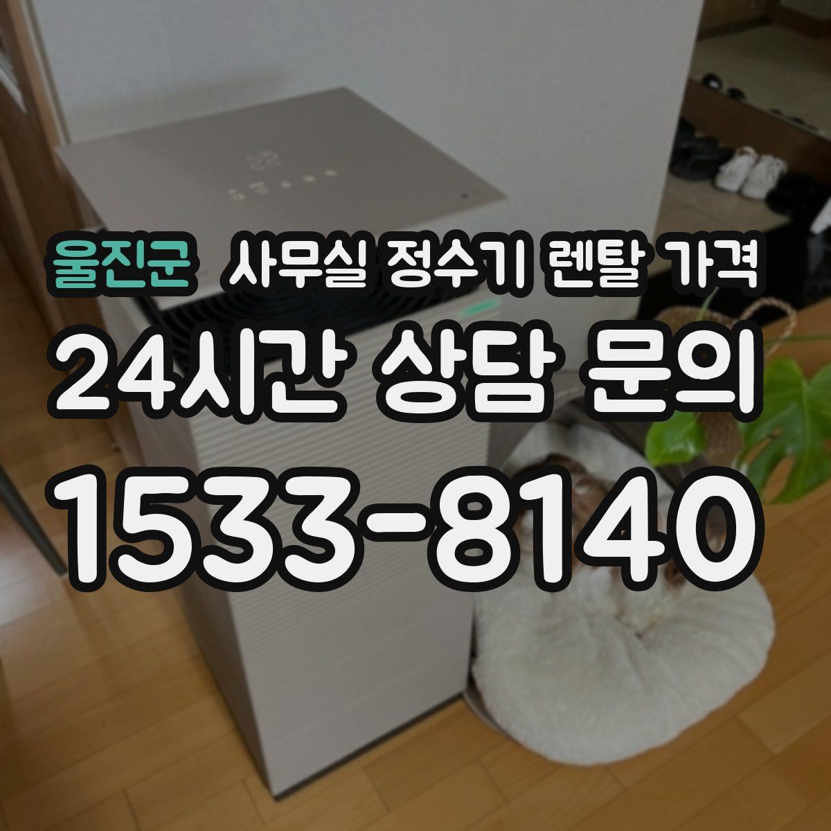 울진군 사무실 정수기 렌탈 가격