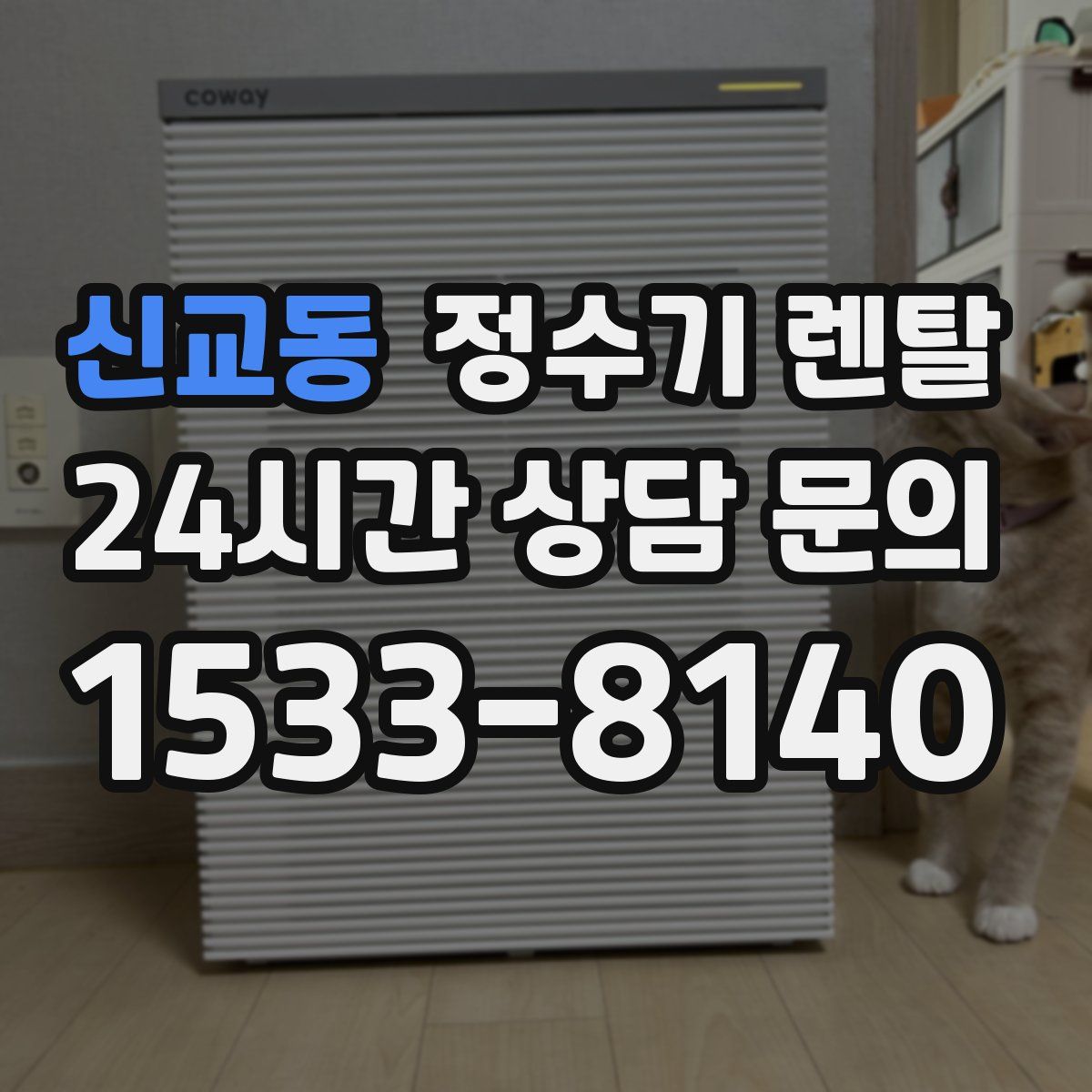 신교동 정수기 렌탈