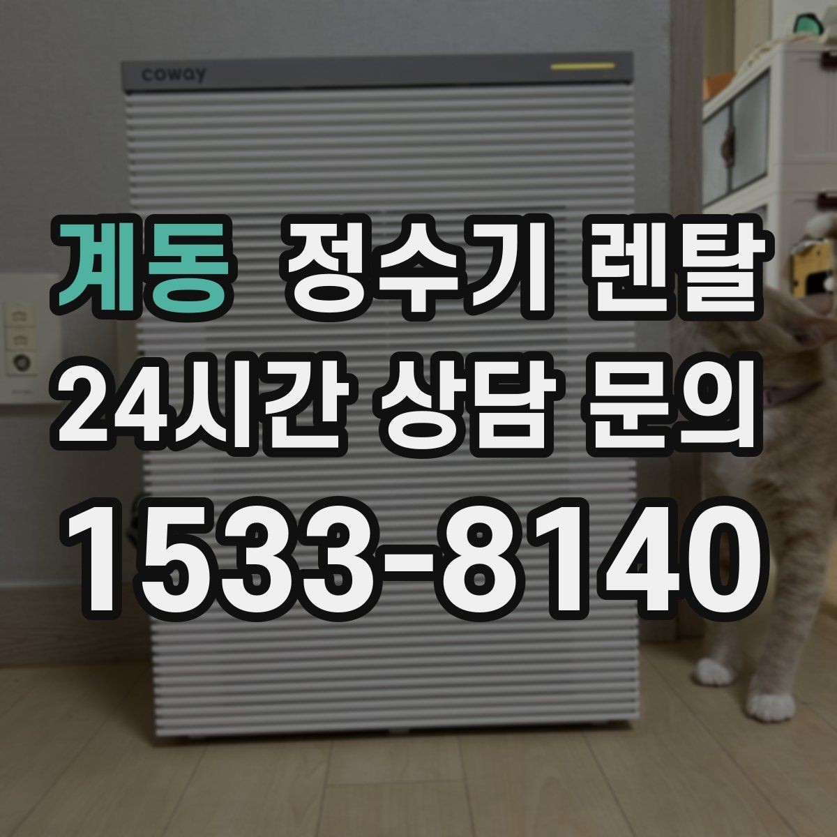 계동 정수기 렌탈 카페 학원 사무실용 정수기 선택 기준