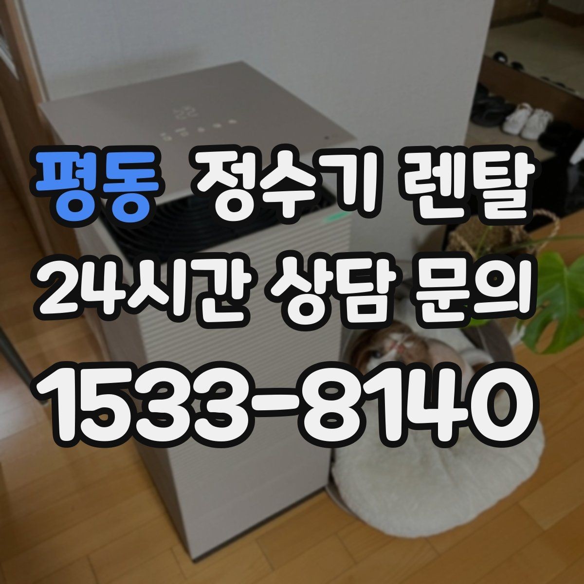 평동 정수기 렌탈 후회 없는 선택을 위한 한 장 정리