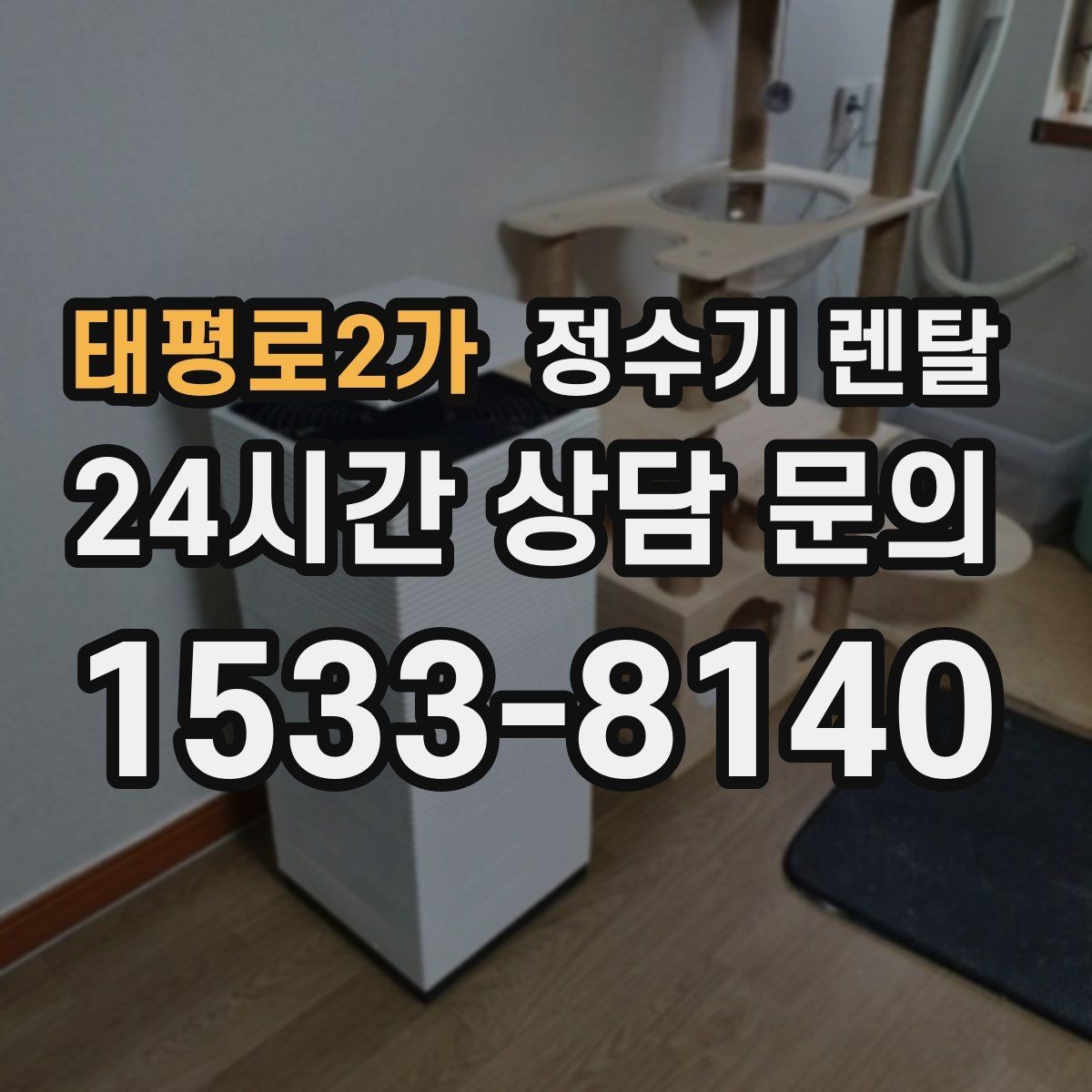 태평로2가 정수기 렌탈 여름철 위생 관리 팁 정리