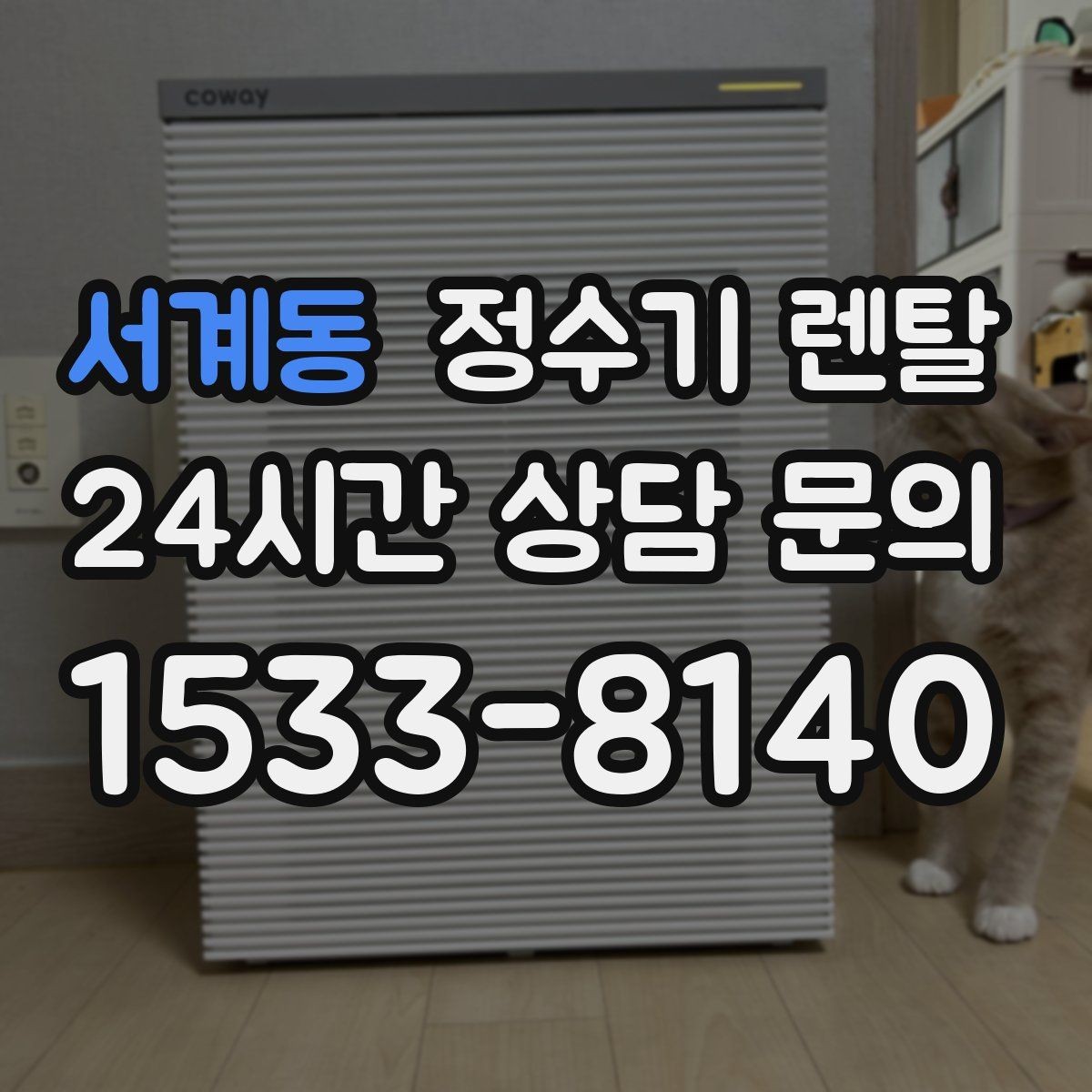 서계동 정수기 렌탈 카페 학원 사무실용 선택 기준 정리