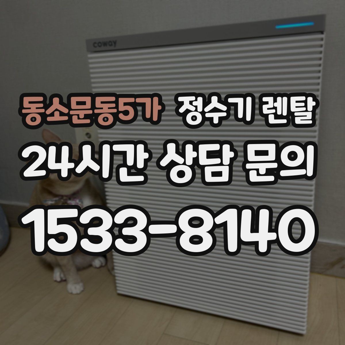 동소문동5가 정수기 렌탈 조건이 복잡할 때 핵심만 보는 방법