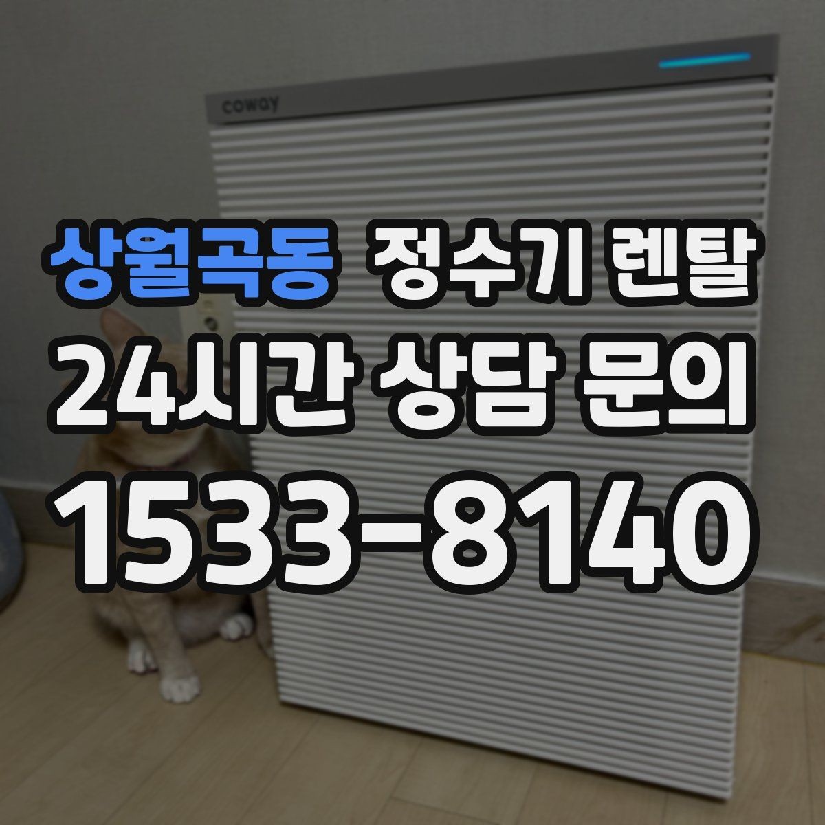 상월곡동 정수기 렌탈 얼음 기능까지 고려할 때 체크해야 할 것