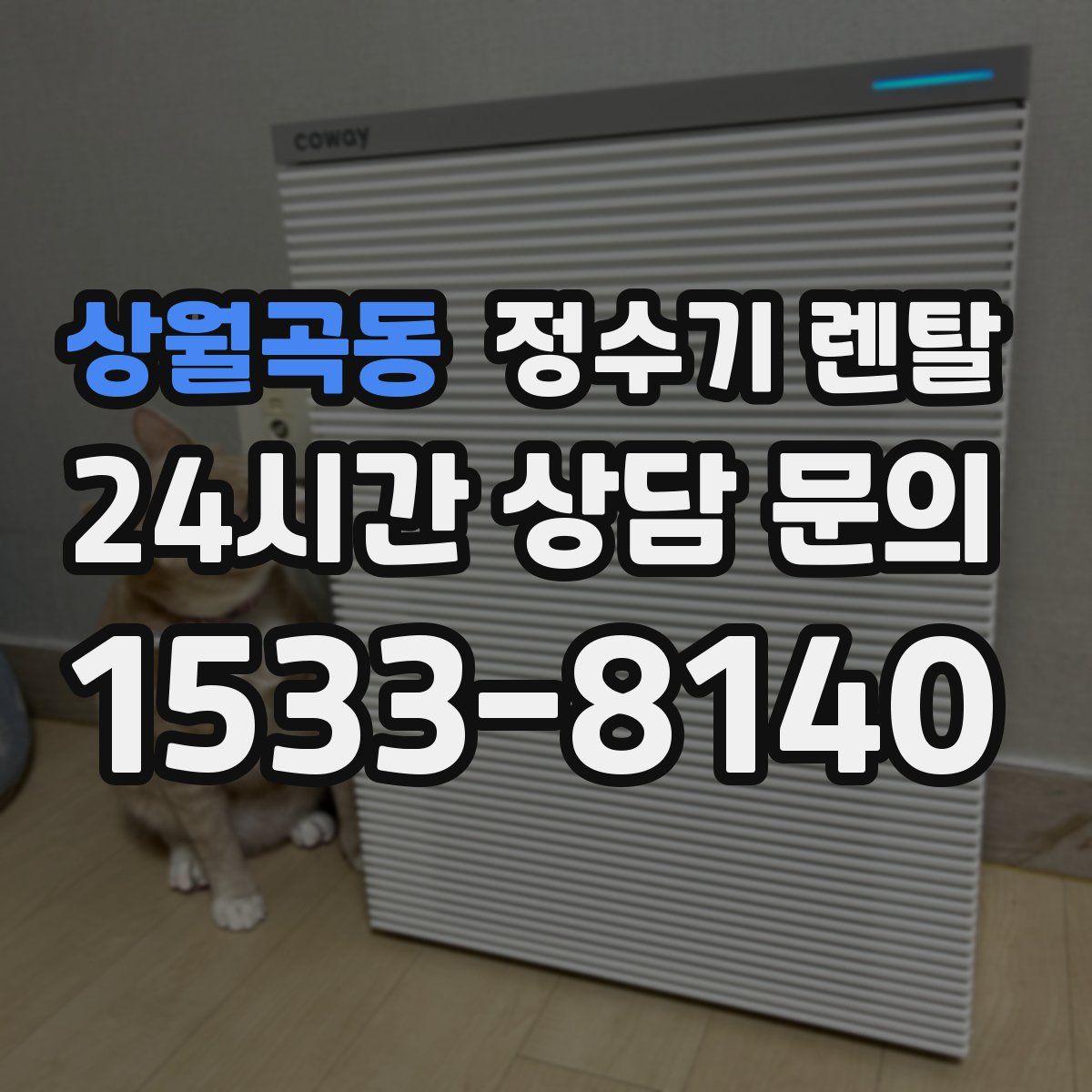 상월곡동 정수기 렌탈
