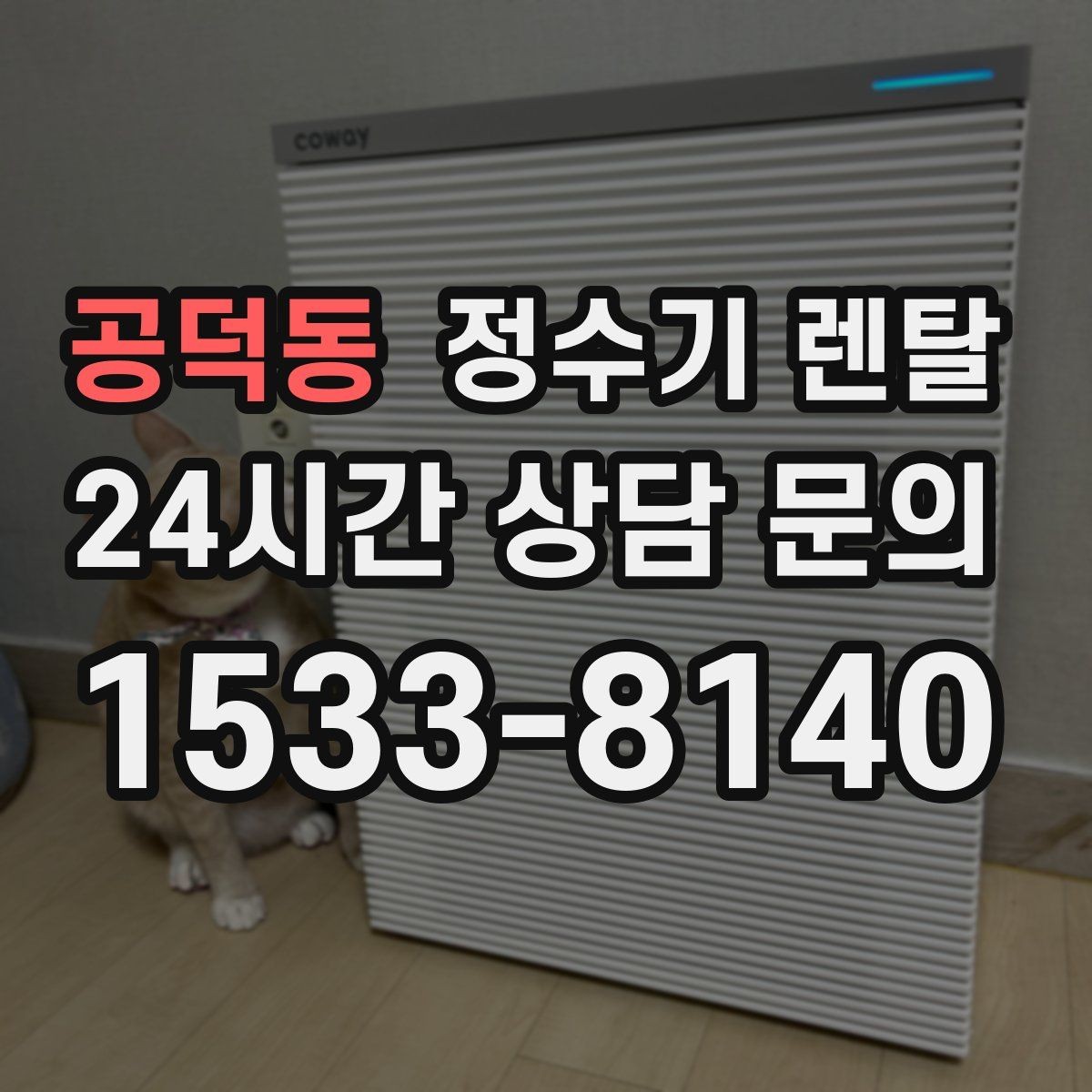 공덕동 정수기 렌탈 스테인리스 코크가 선호되는 이유