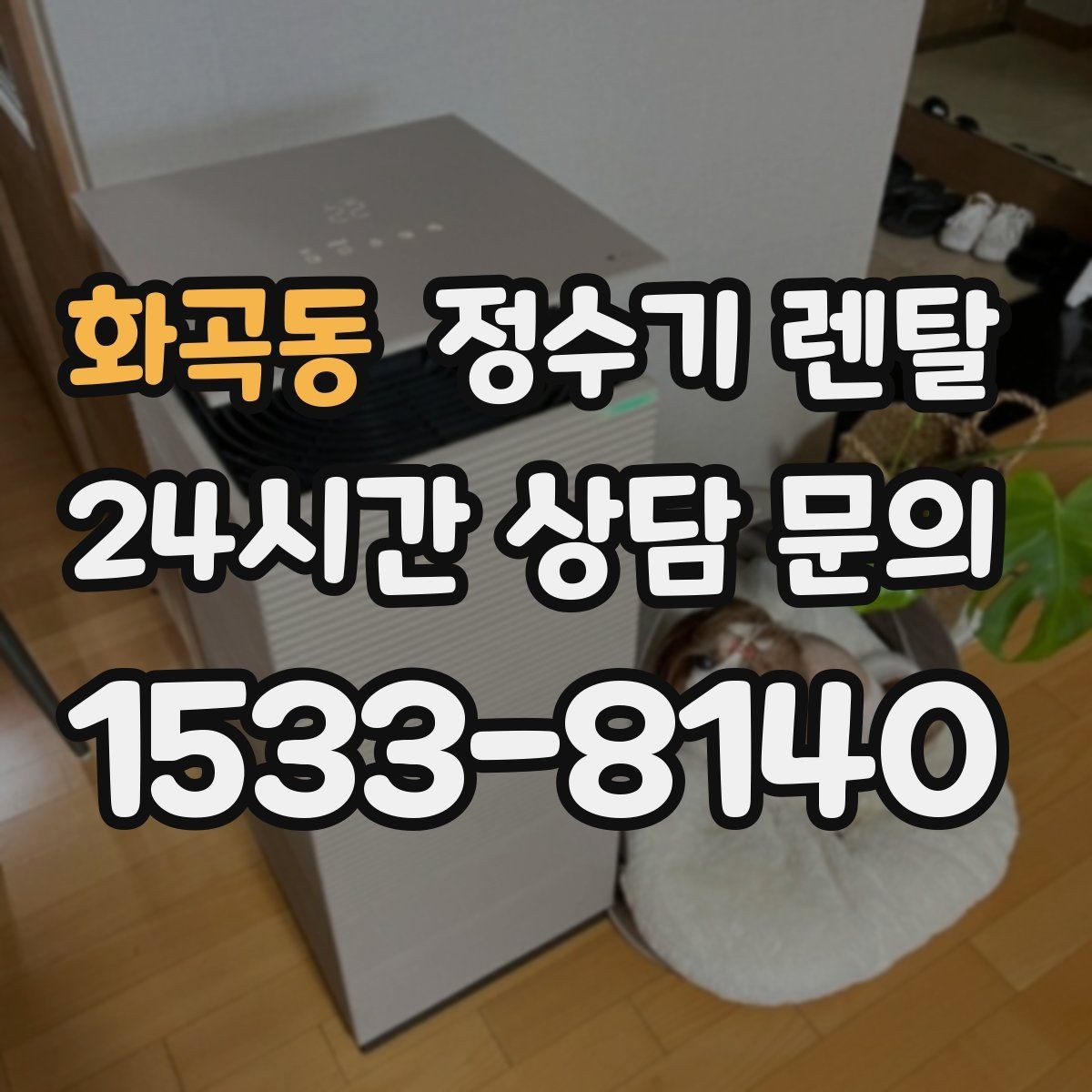 화곡동 정수기 렌탈 3년과 5년 약정, 어떤 차이가 클까