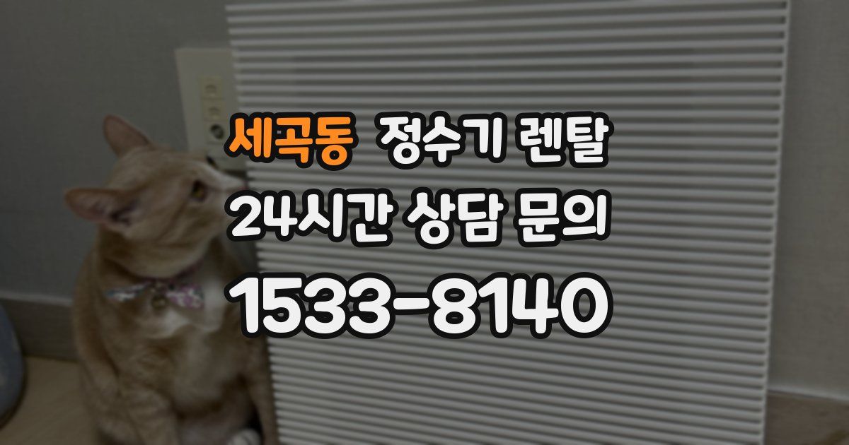 세곡동 정수기 렌탈