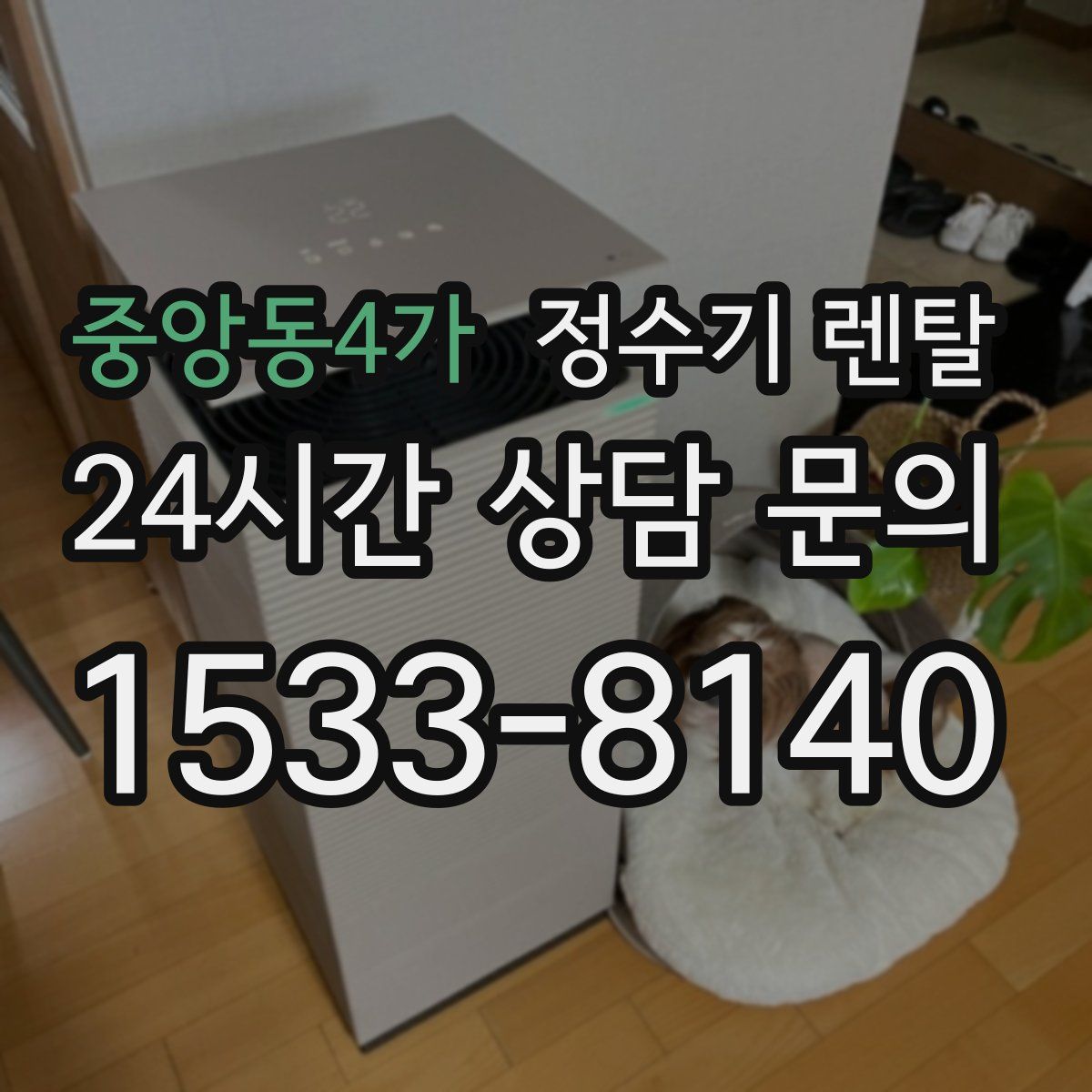 중앙동4가 정수기 렌탈