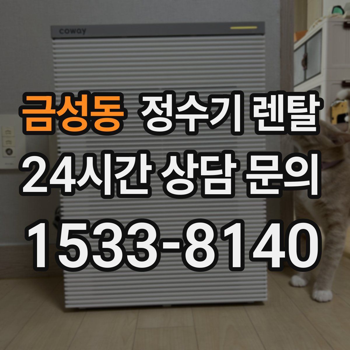 금성동 정수기 렌탈