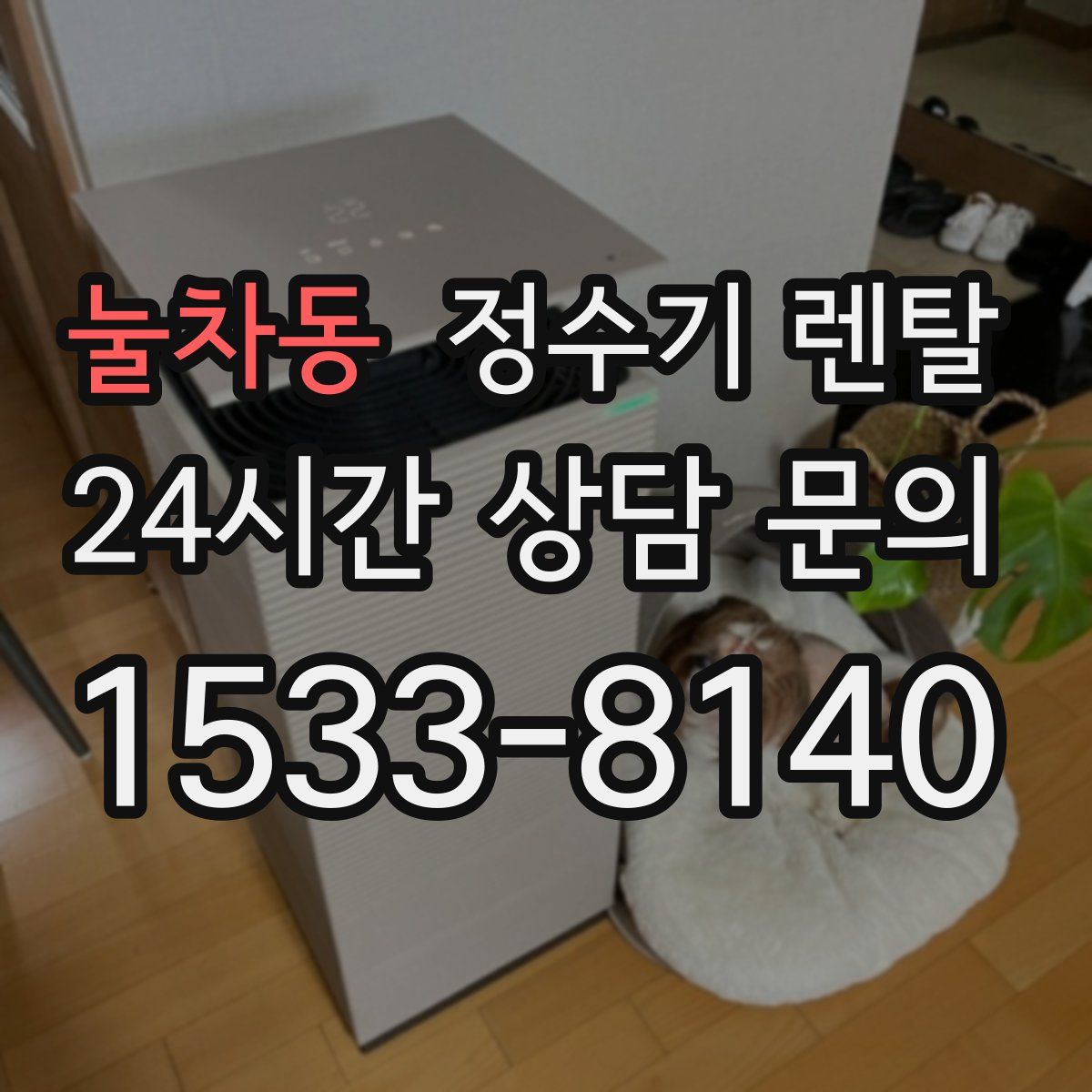 눌차동 정수기 렌탈