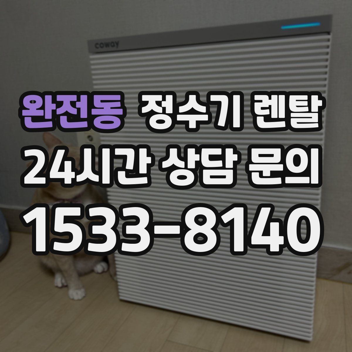 완전동 정수기 렌탈 큰 텀블러도 편하게 받는 제품 고르는 기준