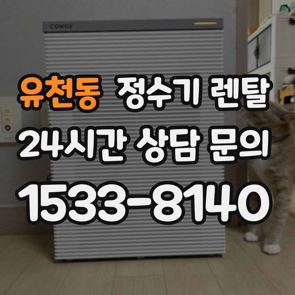 유천동 정수기 렌탈 절전 모드 설정만으로 달라지는 이유