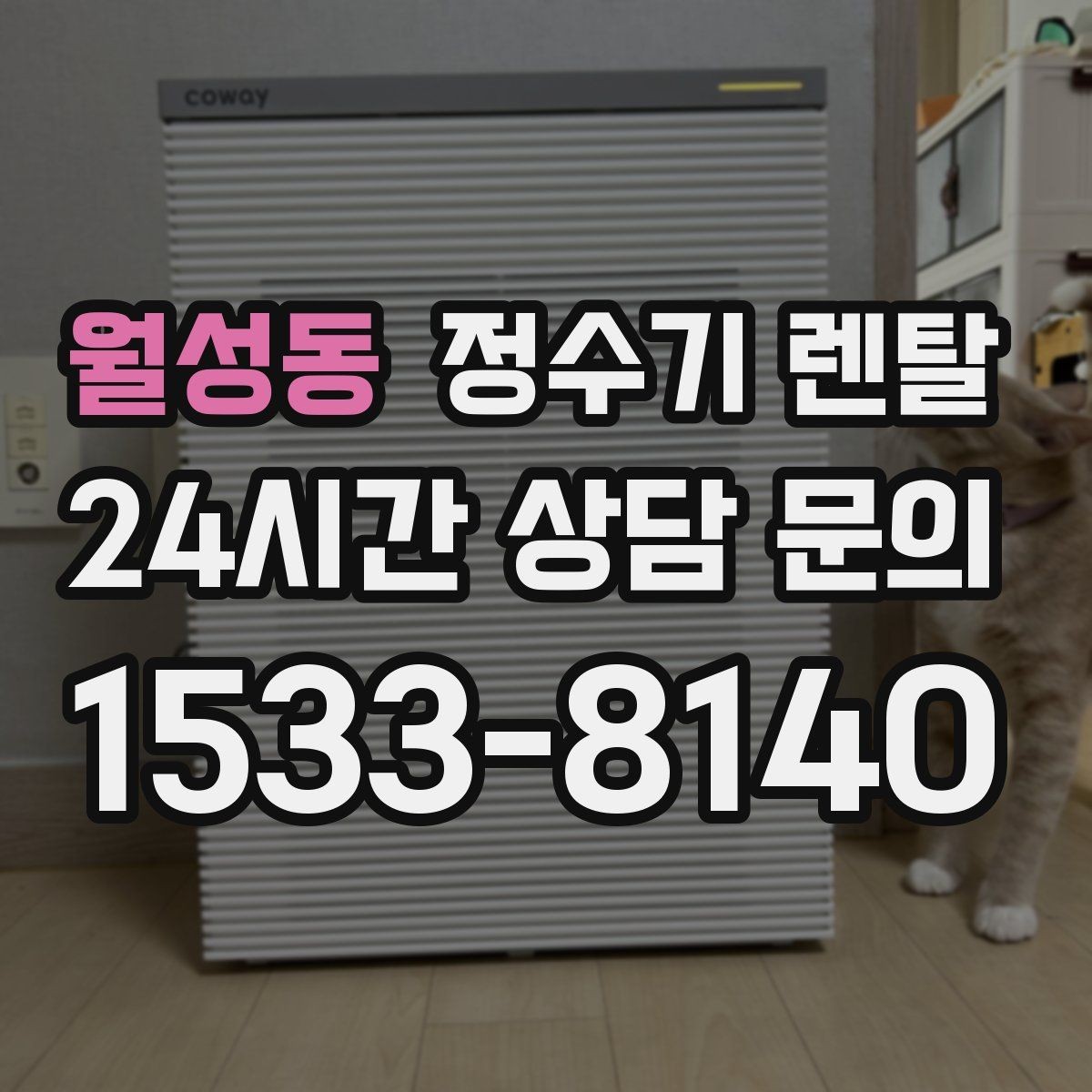 월성동 정수기 렌탈 미니멀 주방에 어울리는 슬림형 선택 팁
