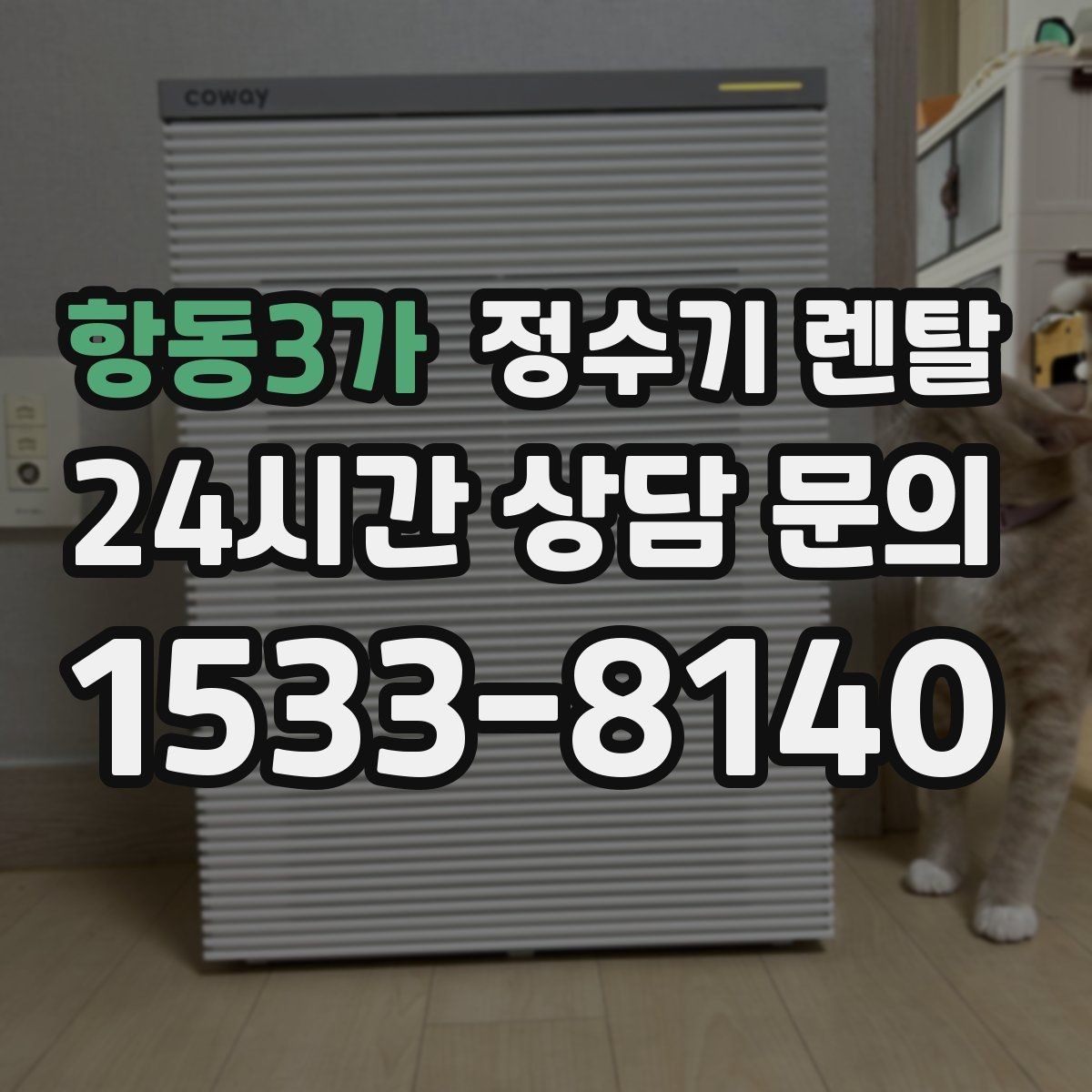 항동3가 정수기 렌탈 설치부터 관리까지 깔끔하게 정리했습니다