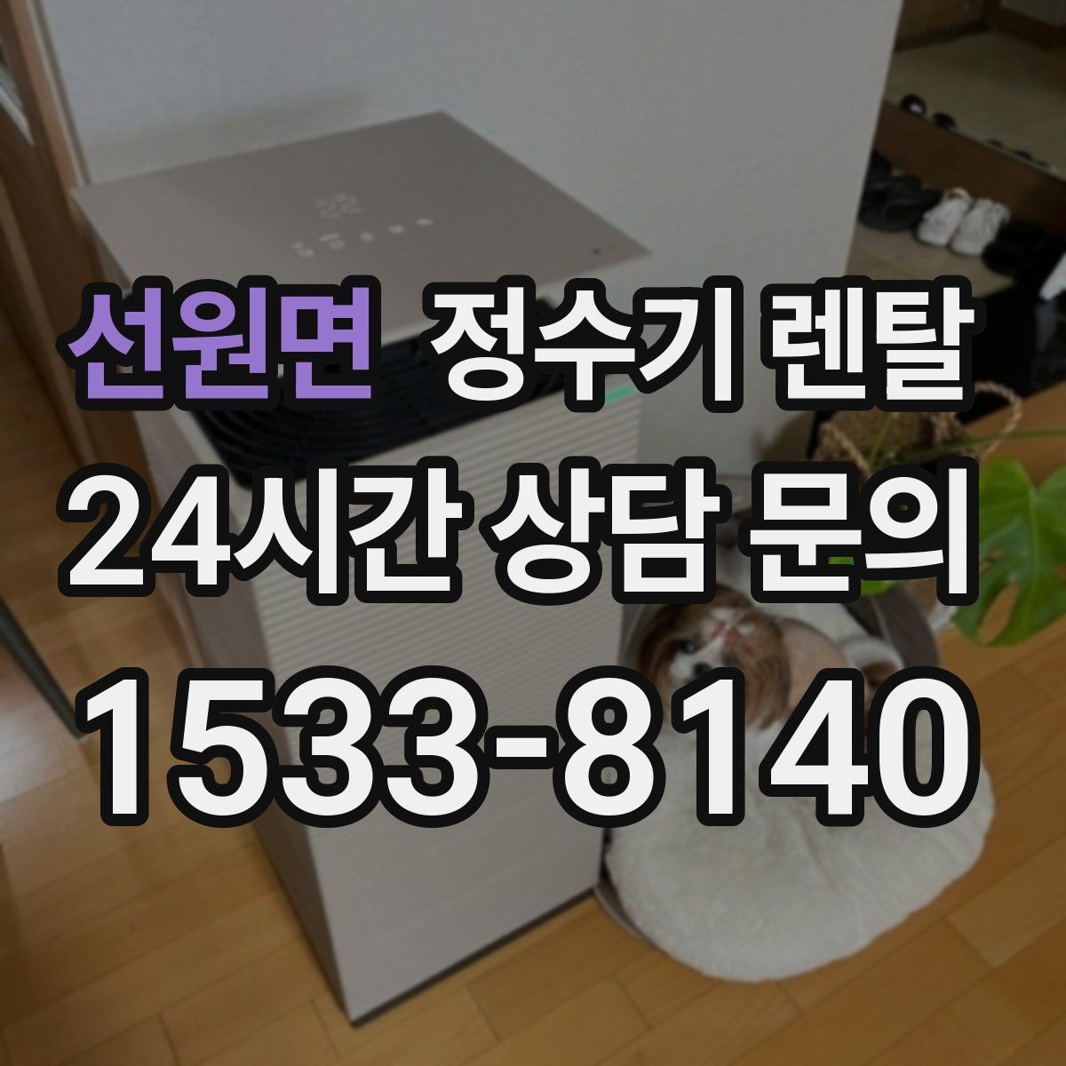 선원면 정수기 렌탈 비용 비교를 쉽게 하는 체크리스트