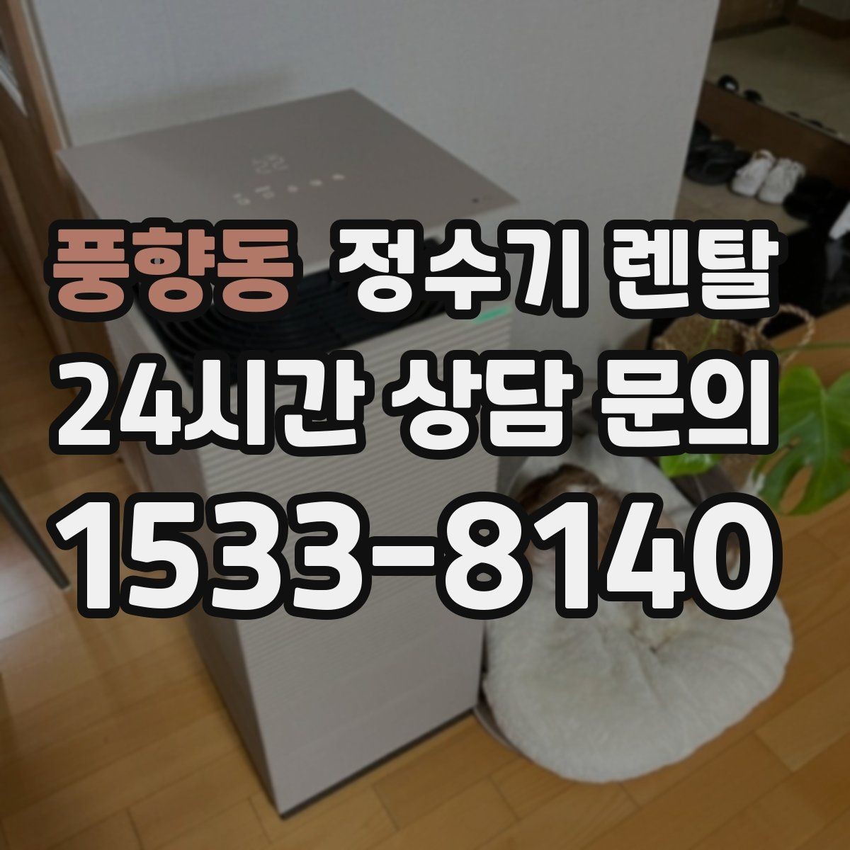 풍향동 정수기 렌탈 물맛이 달라지는 이유와 해결 팁