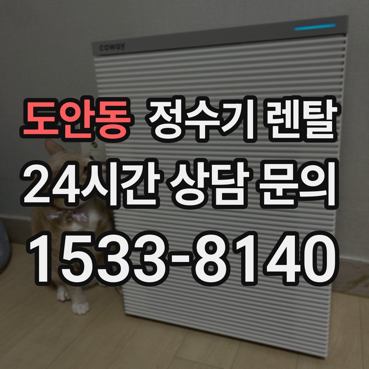 도안동 정수기 렌탈