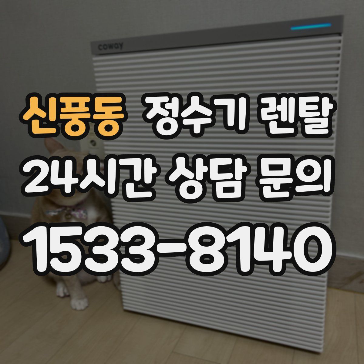 신풍동 정수기 렌탈