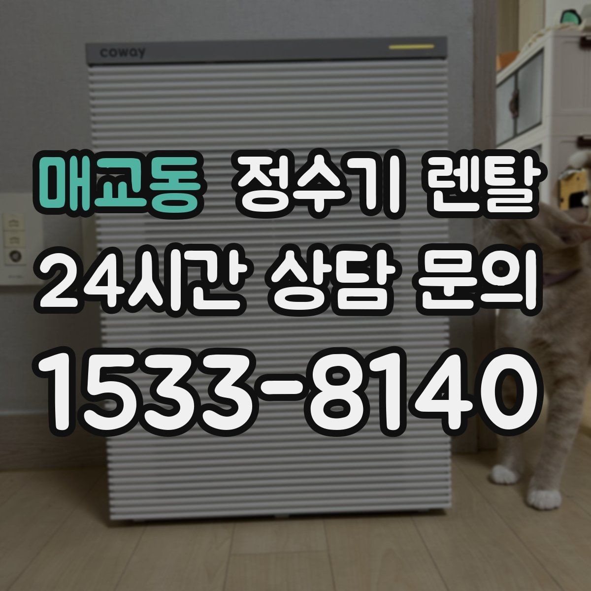매교동 정수기 렌탈 물이 뿌옇게 보였다 사라지면 왜 그럴까